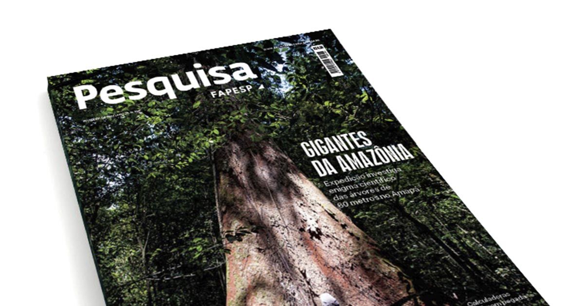 Leia a edição de fevereiro de 2024 Revista Pesquisa Fapesp