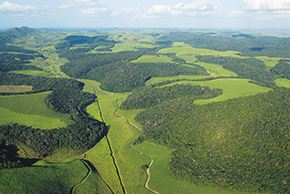 Central Serra Grande: nueve mil hectáreas de Bosque Atlántico preservadas en medio de cañamelares