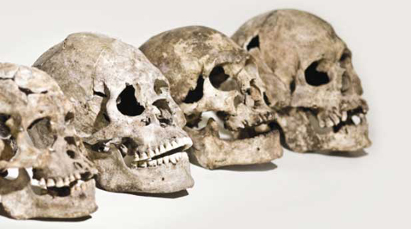 Los cráneos de Lagoa Santa: americanos con rasgos africanos