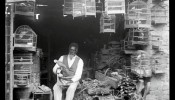 Anotação de Hoehne no verso da foto: “‘Pae Ignacio’ no Mercado Velho de S.Paulo (1919). A falta de hygiene é completa nos empórios de hervas medicinaes e não há que olhe para isso e não existem leis que cohibam abusos. Etc.”
