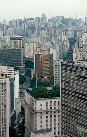 Escaso verde en la metrópolis de hormigón y asfalto: si un 25% del territorio del Gran São Paulo estuviese cubierto por árboles, la temperatura media descendería  en un valor de hasta 2,5 ºC