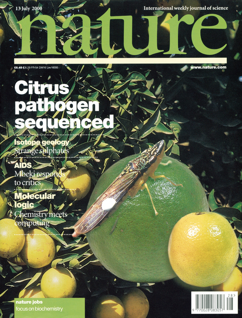 Capa da Nature de 13 de julho de 2000: reconhecimento internacional ao empreendimento brasileiro
