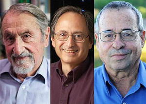 Martin Karplus, Michael Levitt e Arieh Warshel