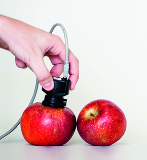 Using the device to determine the sweetness and quality of apples 