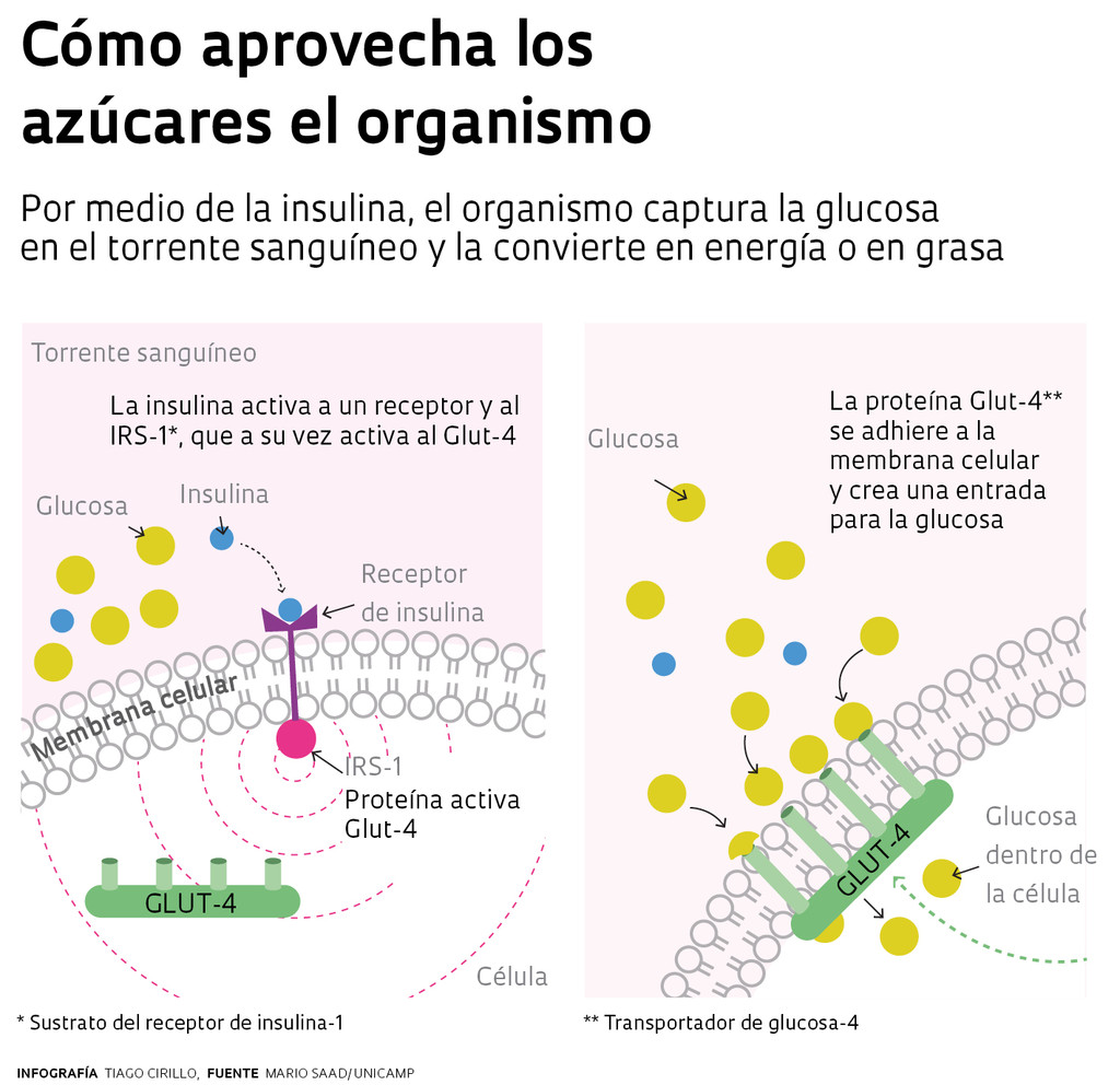 034_037_Proteina diabetes_esp50-01