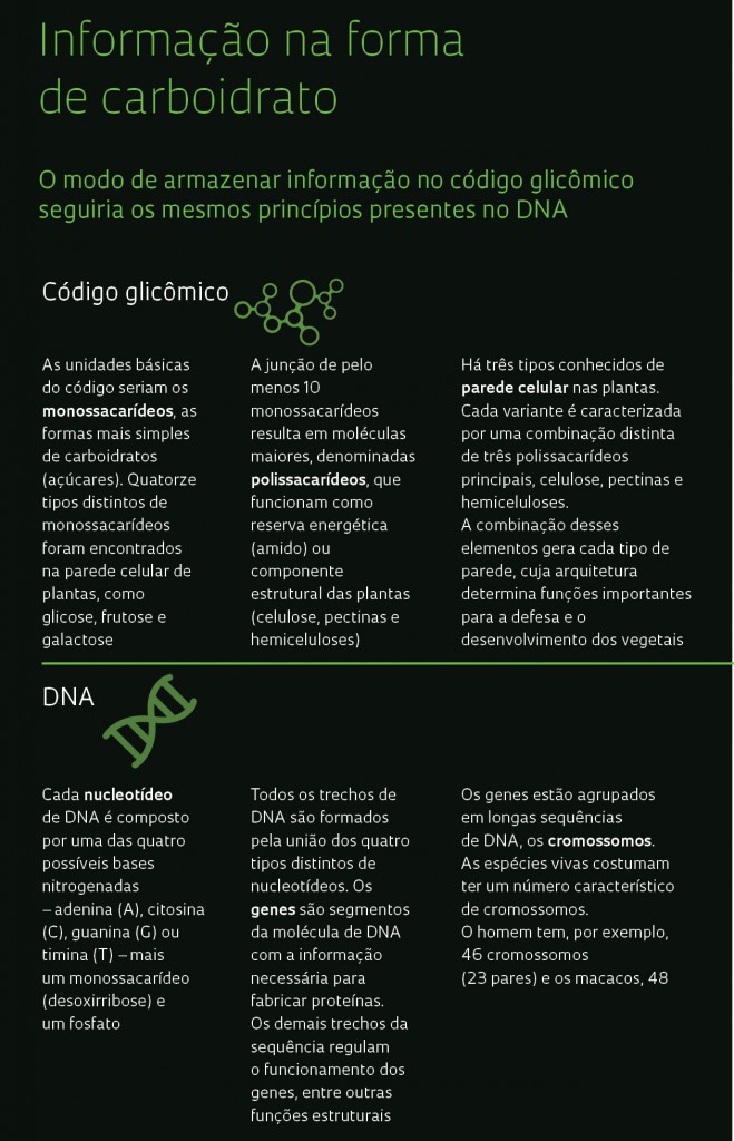 058-059_Botânica_238