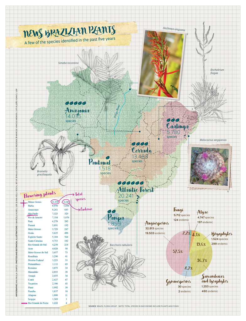 Botanica_241