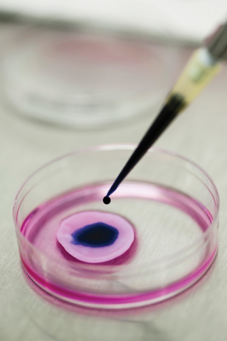 Teste de cosmético líquido sobre pele artificial na USP. Cada fragmento só pode ser usado uma vez