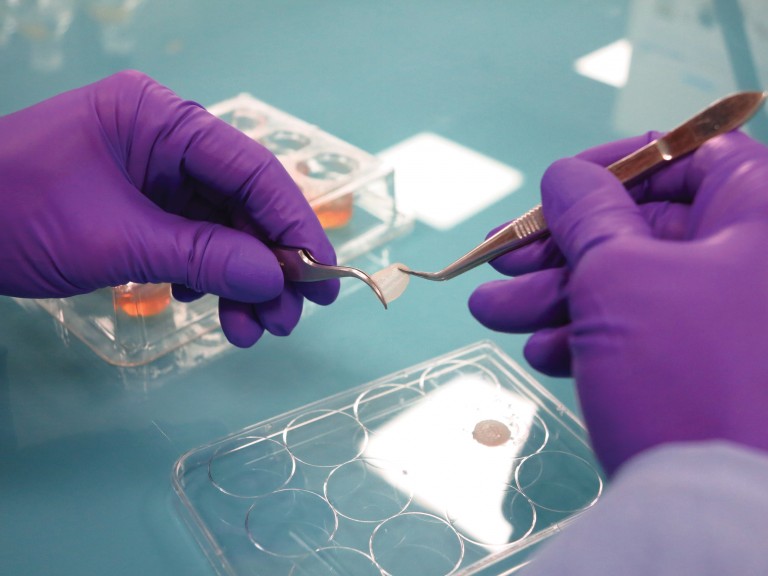 Pele reconstruída da L’Oréal: pesquisas avançam para inserir neurônios no produto