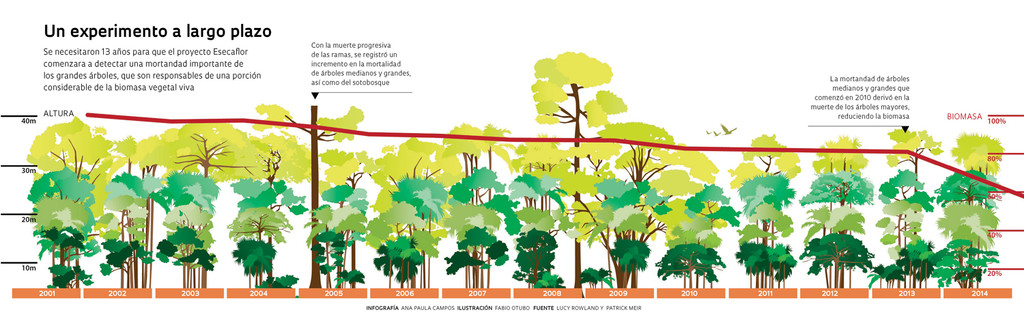 Amazonia_238