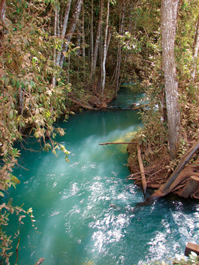Un riacho protegido por bosque de ribera en Lucas do Rio Verde, en el estado de Mato Grosso...