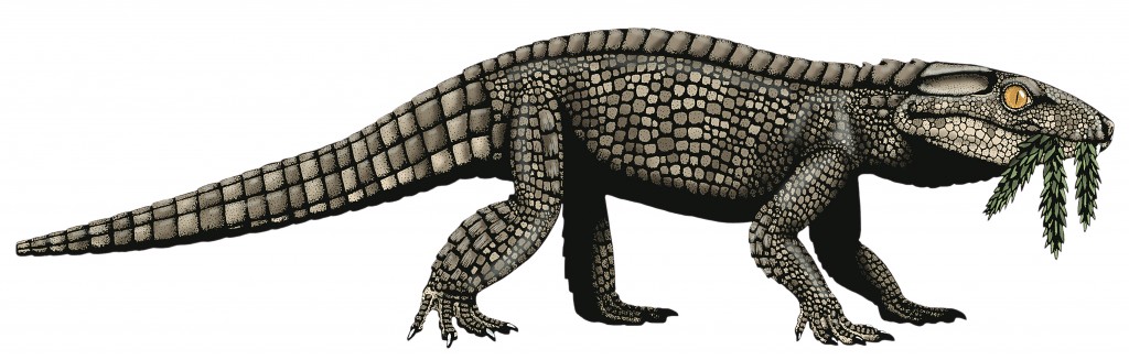 Sphagesaurus: a land crocodile that lived between 65 and 80 million years ago