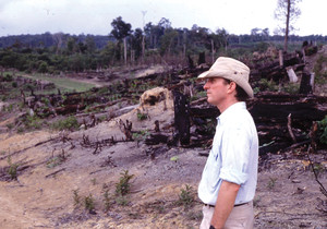 In the Amazon in the 1970s, when some areas of study for the BDFFP had already been isolated
