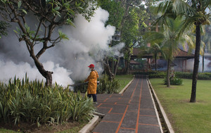 Nebulización en Bali, Indonesia: gastos globales por 8.900 millones de dólares