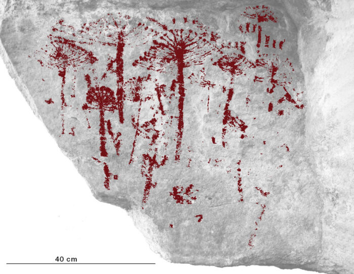 S Tio Pr Hist Rico Teria O Primeiro Registro De Uma Arauc Ria Em Arte