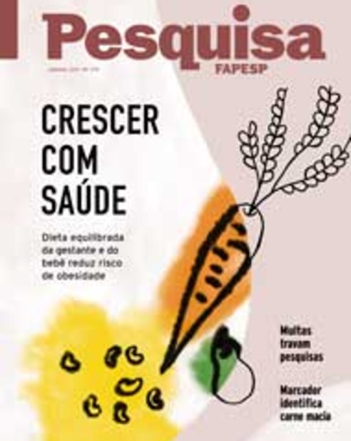 O nome do mico : Revista Pesquisa Fapesp