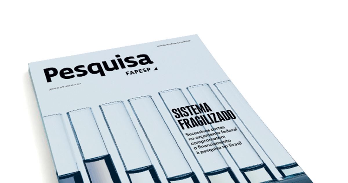 Sistema fragilizado by Pesquisa Fapesp - Issuu