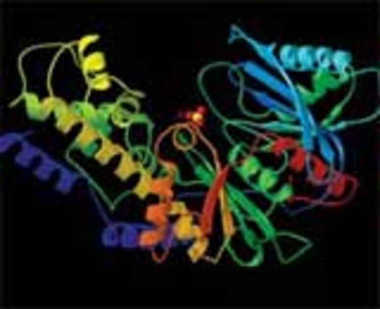 Mapping proteins Revista Pesquisa - 1edfc8eb577294ddb48e9f4e0e3ca36758e96e88 1200 630 