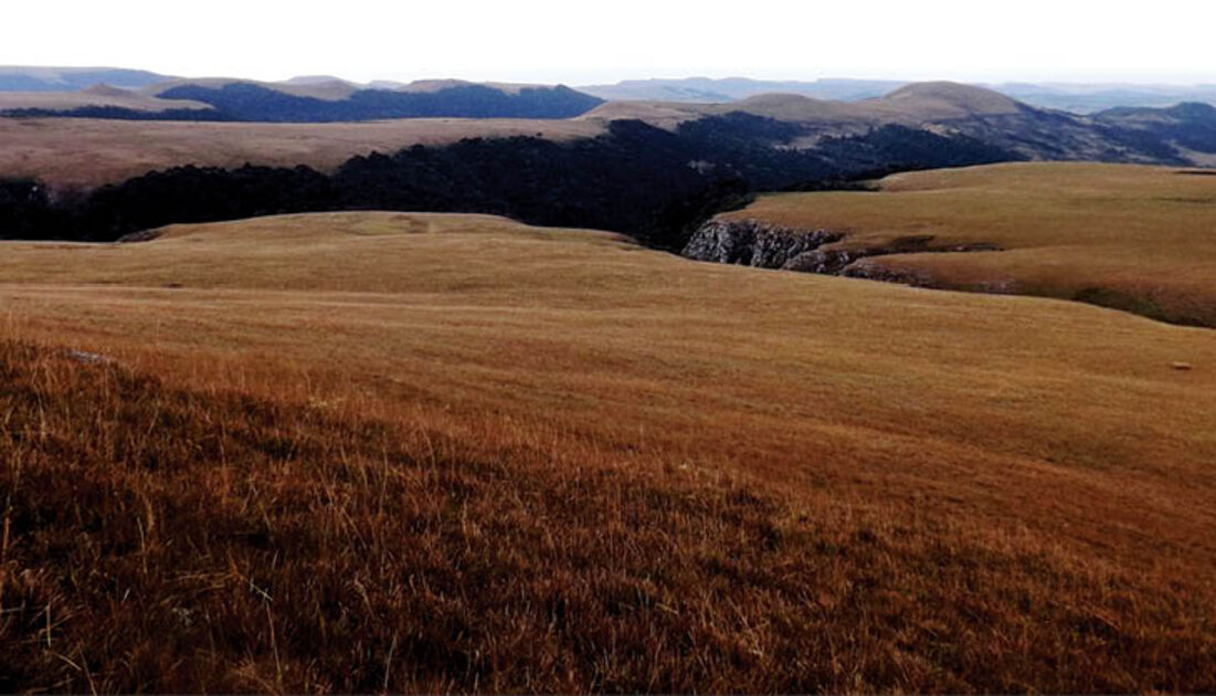 Campos de altitude – Wikipédia, a enciclopédia livre