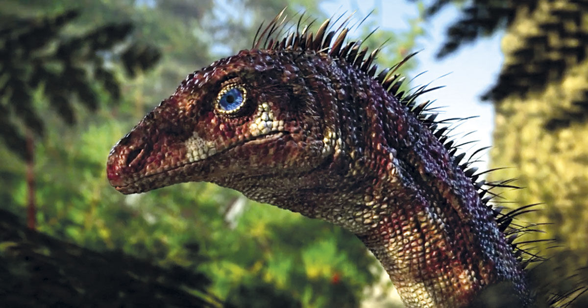 Fossils on the move : Revista Pesquisa Fapesp