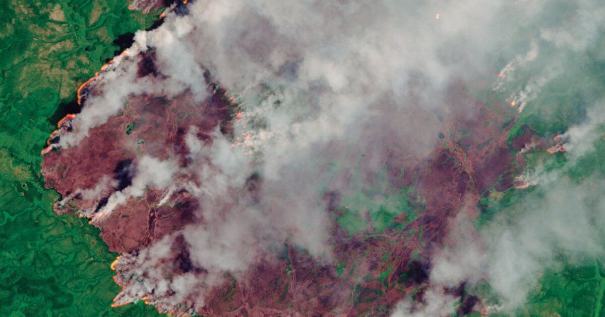 Sibéria sufoca com calor de quase 40ºC