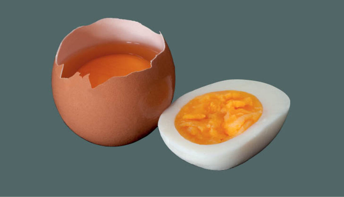 Como “descozinhar” o ovo Revista Pesquisa Fapesp
