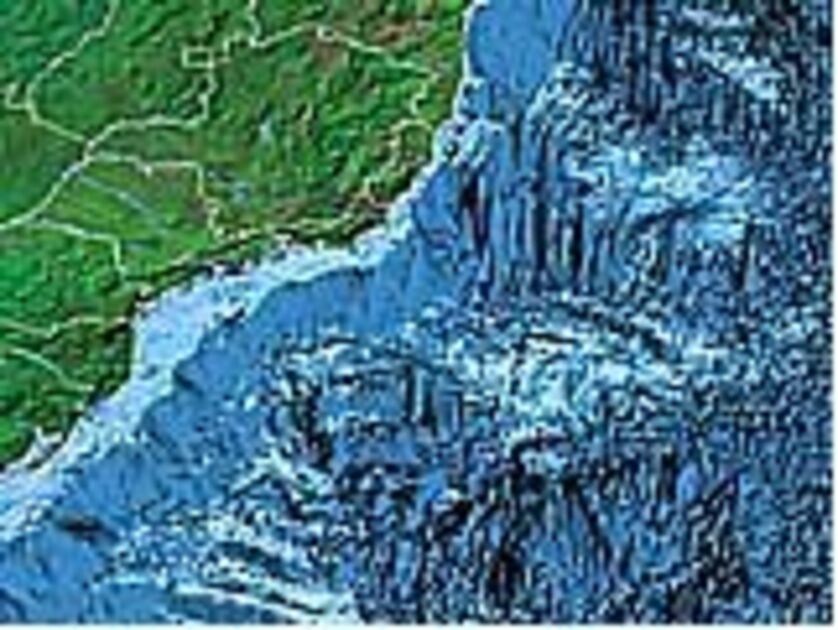 Vision of the depths : Revista Pesquisa Fapesp