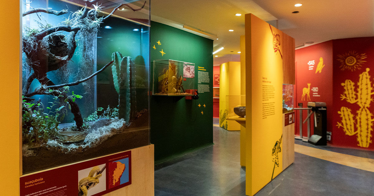 Exposição no Instituto Butantan revela as muitas caatingas