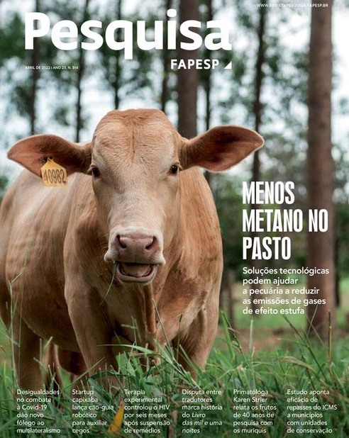 Enxame de morte : Revista Pesquisa Fapesp