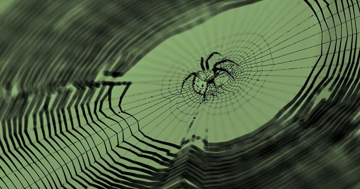 O que significa spider webs? - Pergunta sobre a Inglês (EUA)