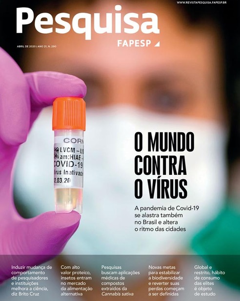 Enxame de morte : Revista Pesquisa Fapesp