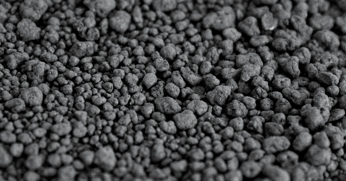 Biocarv&atilde;o pode trazer ganhos &agrave; agricultura : Revista Pesquisa Fapesp