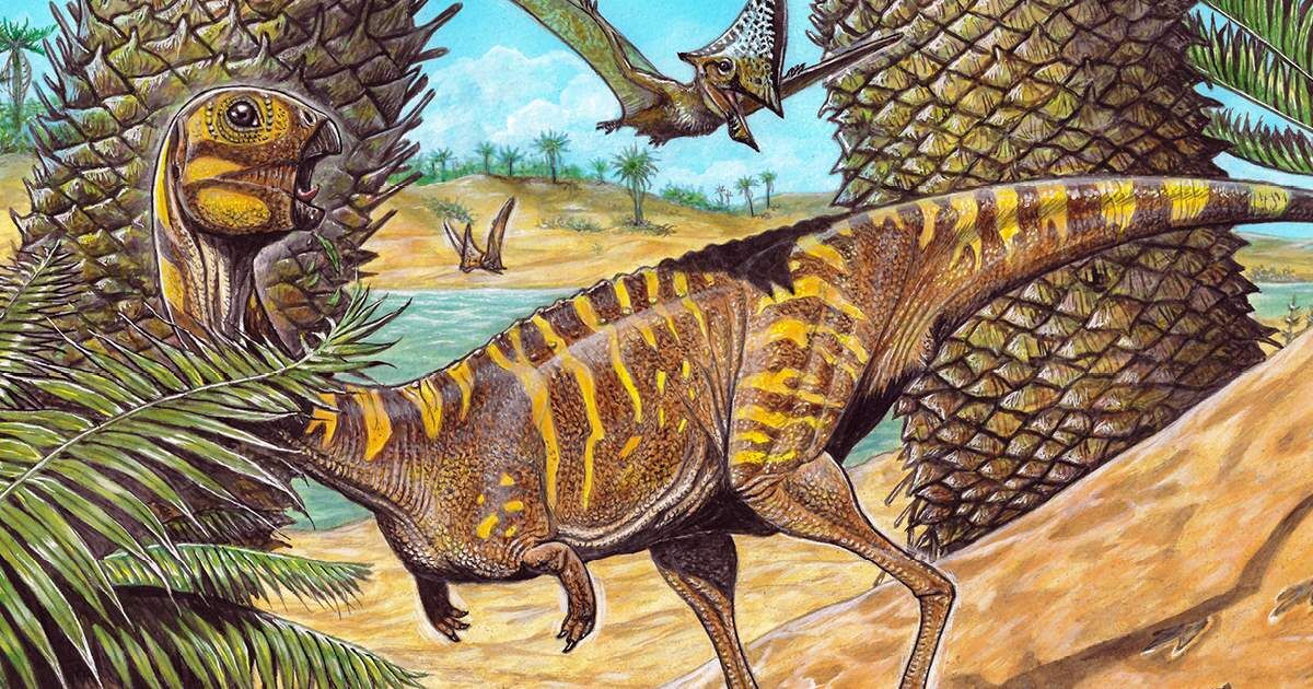 Fósseis de primeiro dinossauro gigante são descobertos