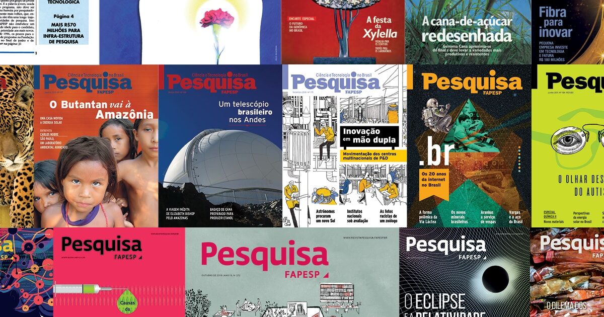 Los colores de la noche : Revista Pesquisa Fapesp