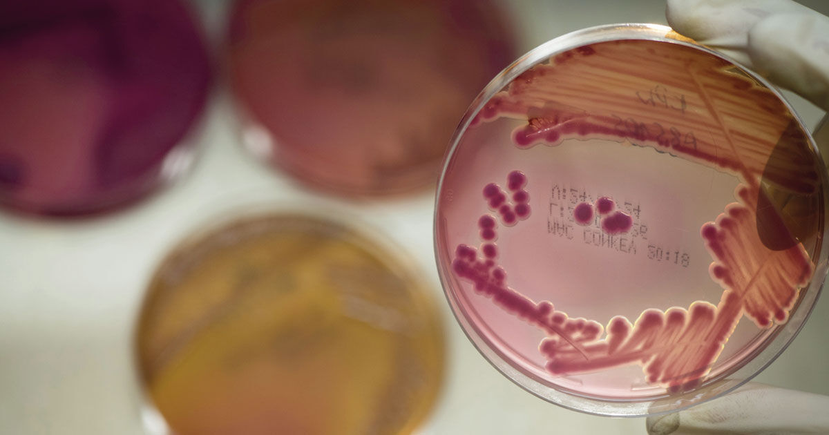 75ed20af3aff18603a68de7c29d829