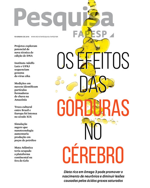 O nome do mico : Revista Pesquisa Fapesp