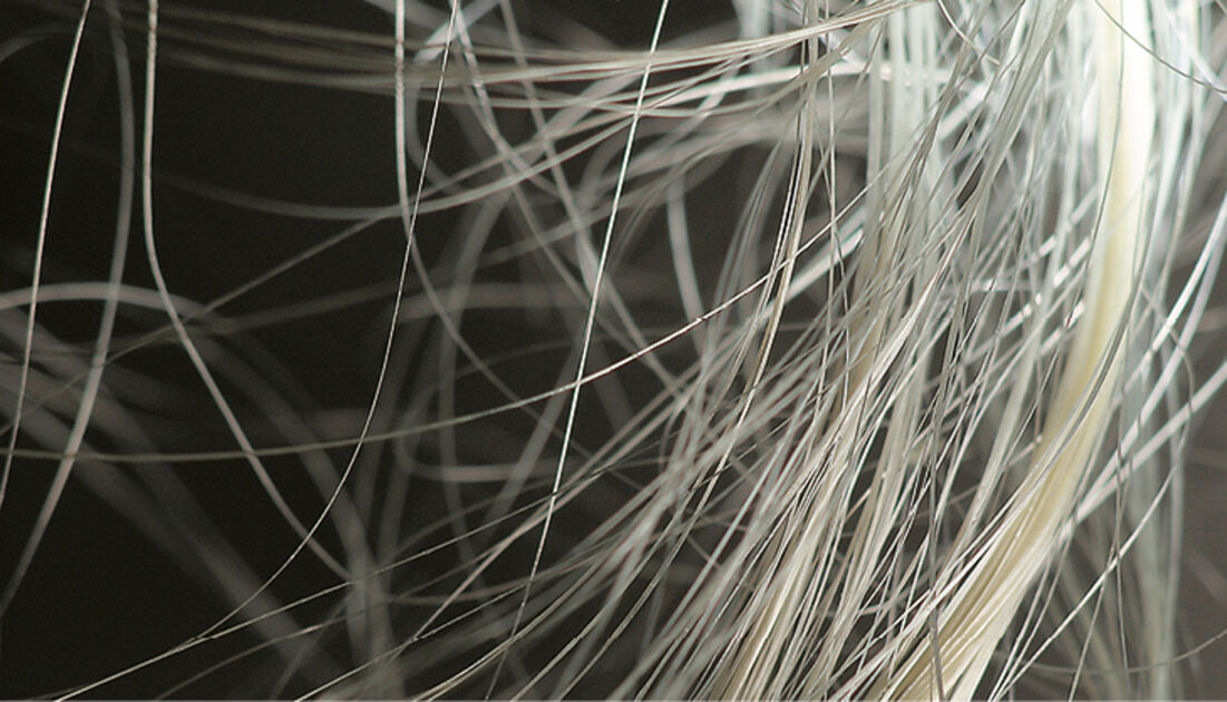 Versatile and clean thread : Revista Pesquisa Fapesp