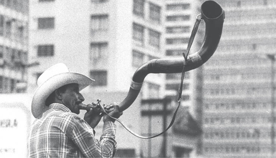 File:Festa do Peão de Boiadeiro em Barretos.jpg - Wikimedia Commons