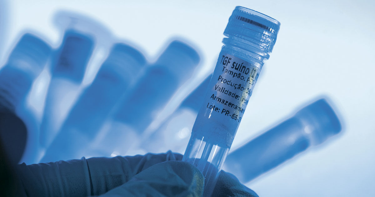 Pesquisa de proteínas em laboratório da Biolinker em Cotia