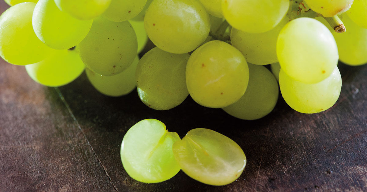 O Segredo Das Uvas Sem Semente Revista Pesquisa Fapesp