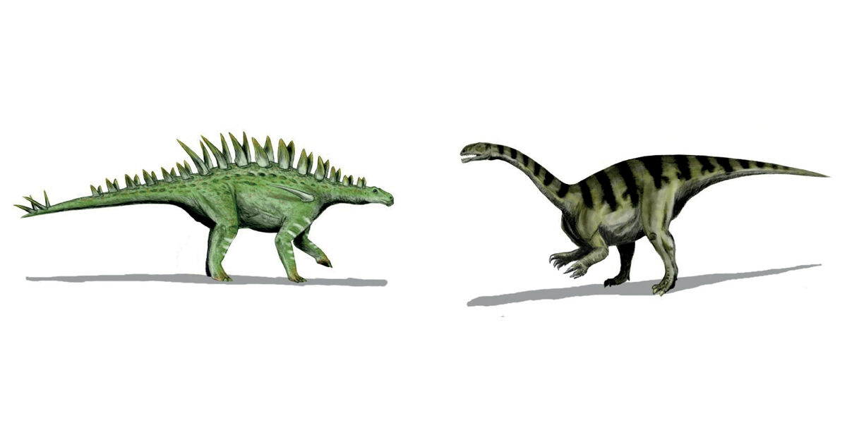 Un nuevo round en la polémica acerca de la genealogía de los dinosaurios :  Revista Pesquisa Fapesp
