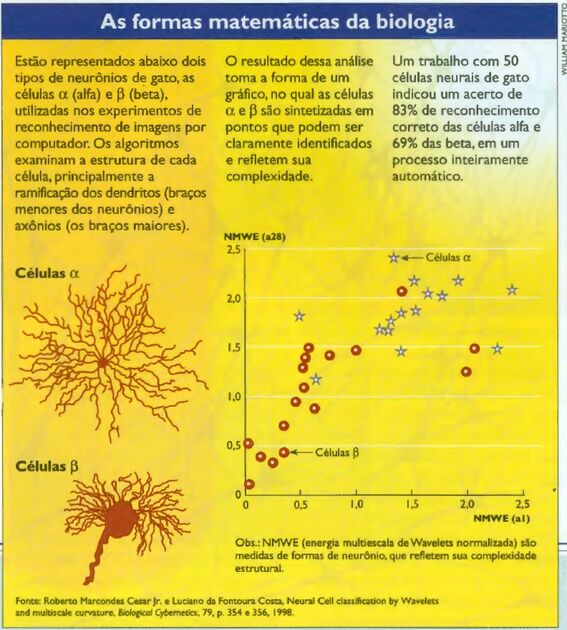 MATIX - Departamento de Matemática - Unesp - Instituto de Biociências,  Letras e Ciências Exatas - Câmpus de São José do Rio Preto