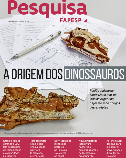 Quando elas dominam : Revista Pesquisa Fapesp