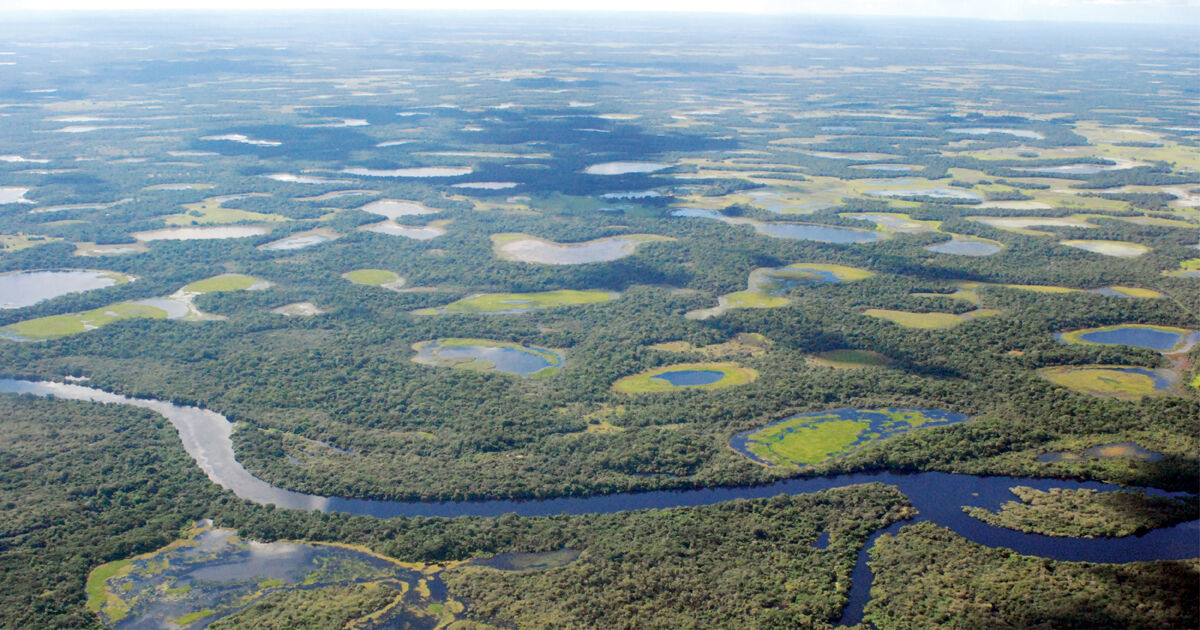 Holocene stratigraphic evolution of saline lakes in Nhecolândia