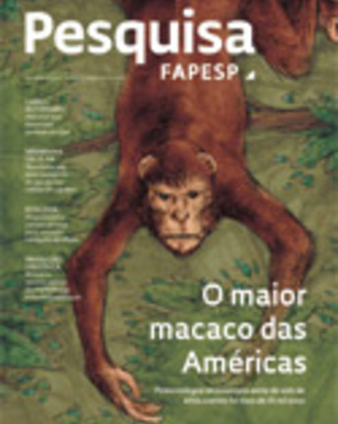 Macaco é melhor modelo animal : Revista Pesquisa Fapesp