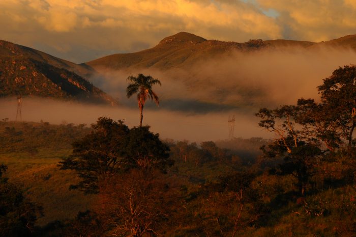 Amanhecer em vale na Serra da Canastra. Neblina é uma importante fonte de água para plantas em campos rupestres