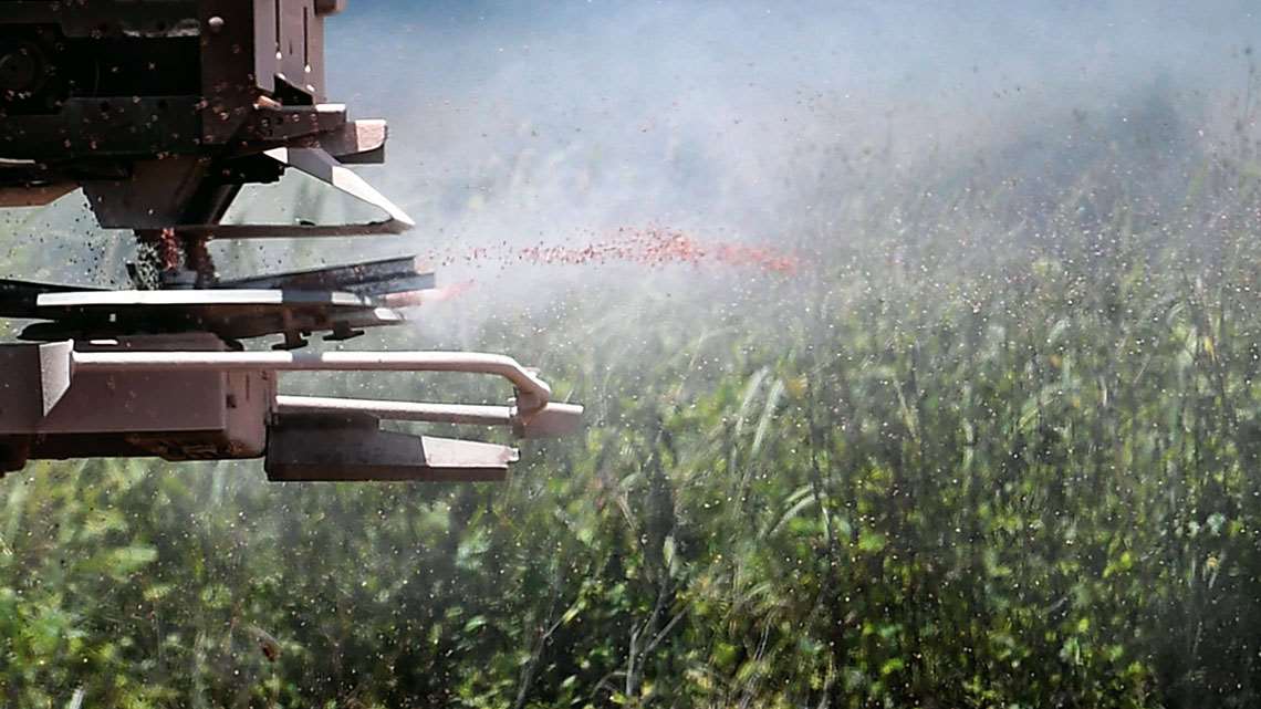 Principais tipos de vegetação do mundo - Toda Matéria