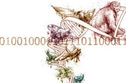 Dna Math The mathematical structure of DNA : Revista Pesquisa Fapesp