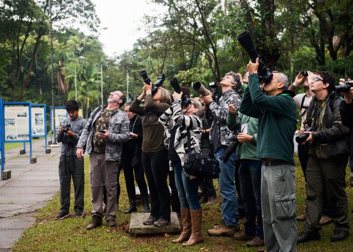 Grupo observa e fotografa aves na mata do Instituto Butantan