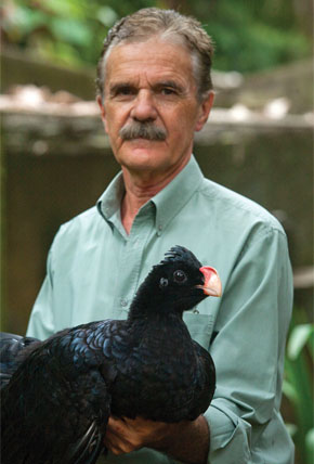O criador Roberto Azeredo é o principal responsável pela reprodução em cativeiro da ave